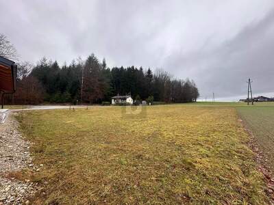 Grundstück kaufen in 5120 St. Pantaleon