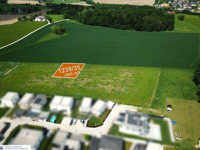 Grundstück kaufen in 4223 Ruhstetten (Bild 3)