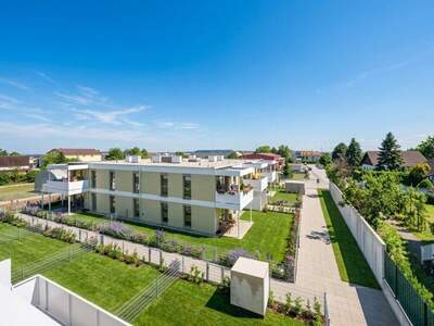 Terrassenwohnung kaufen in 2540 Bad Vöslau (Bild 3)