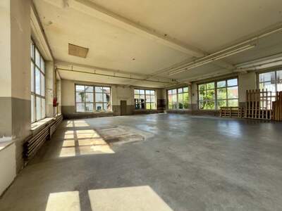 Gewerbeobjekt mieten in 6890 Lustenau