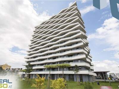 Apartment provisionsfrei mieten in 4020 Oberösterreich