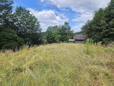 Grundstück kaufen in 9130 Kreuth