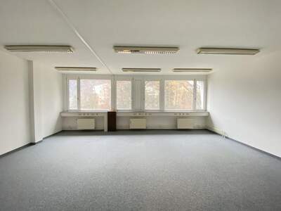 Gewerbeobjekt mieten in 5020 Salzburg (Bild 4)