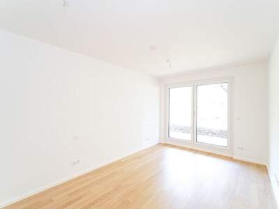 Anlageobjekt kaufen in 2345 Brunn (Bild 3)