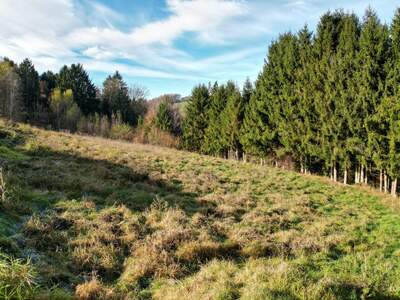 Grundstück kaufen in 8301 Kainbach (Bild 2)