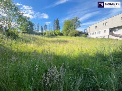 Terrassenwohnung kaufen in 8042 Graz (Bild 5)