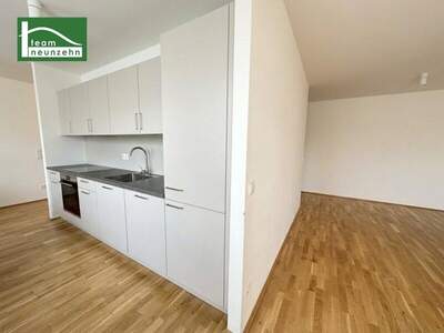 Terrassenwohnung mieten in 1220 Wien (Bild 3)