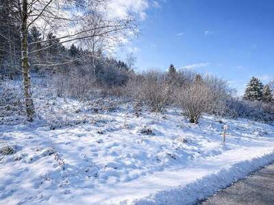 Grundstück kaufen in 2860 Kirchschlag