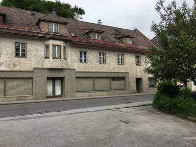 Haus mit Garten kaufen in 8933 Sankt Gallen (Bild 2)