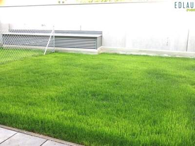 Terrassenwohnung mieten in 2500 Baden (Bild 2)