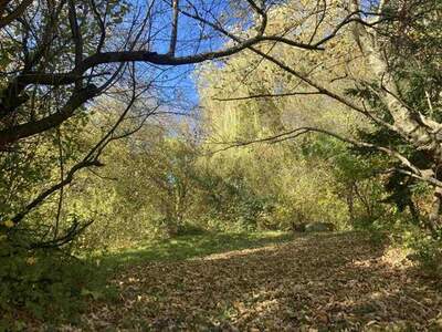 Grundstück kaufen in 3011 Untertullnerbach