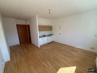 Wohnung mieten in 9020 Klagenfurt