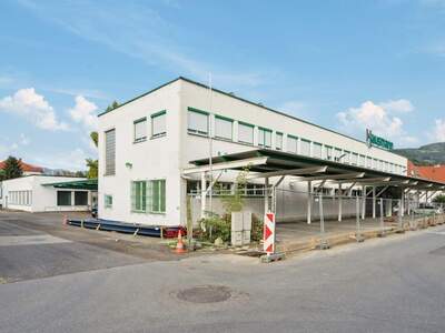 Gewerbeobjekt kaufen in 8600 Bruck an der Mur (Bild 4)