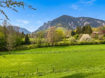 Grundstück kaufen in 2651 Reichenau