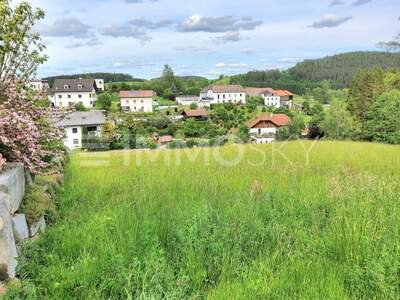 Grundstück kaufen in 4193 Reichenthal