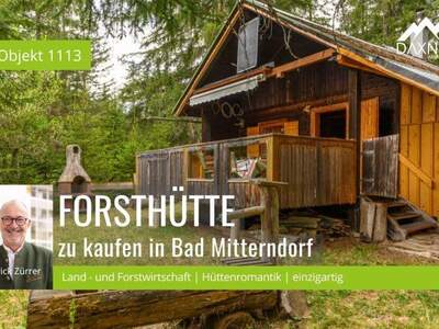 Gewerbeobjekt kaufen in 8983 Bad Mitterndorf