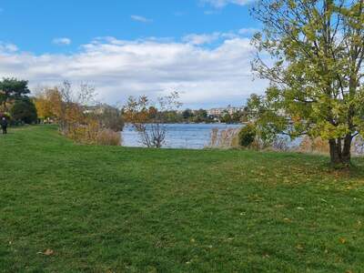 Haus kaufen in 1210 Wien (Bild 3)