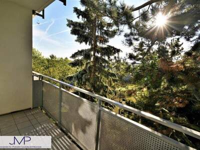 Terrassenwohnung mieten in 1180 Wien (Bild 3)