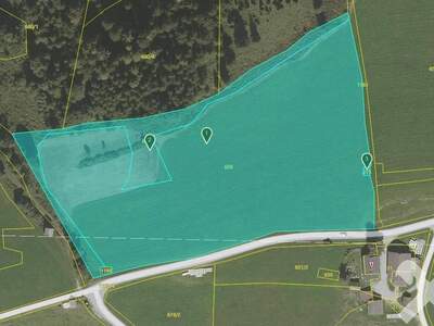 Gewerbeobjekt kaufen in 8967 Haus