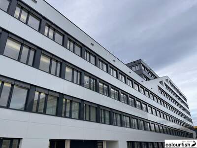 Gewerbeobjekt mieten in 1230 Wien (Bild 1)