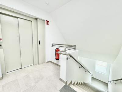 Wohnung mieten in 1230 Wien (Bild 2)