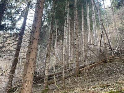 Gewerbeobjekt kaufen in 8850 Murau (Bild 2)