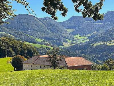 Haus kaufen in 4593 Grünburg
