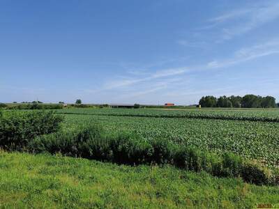 Gewerbeobjekt kaufen in 9231 Beltinci (Bild 1)