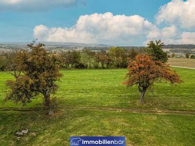 Grundstück kaufen in 4076 St. Marienkirchen