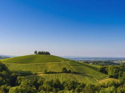 Haus kaufen in 8462 Gamlitz