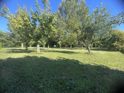 Haus mit Garten kaufen in 33050 Pocenia (Bild 4)