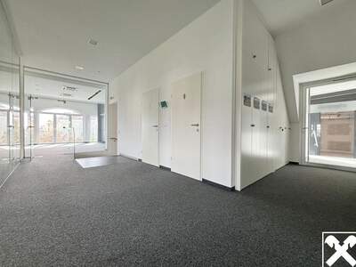 Gewerbeobjekt mieten in 4600 Wels (Bild 4)