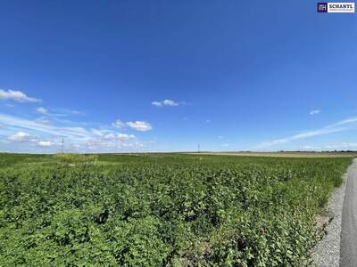 Gewerbeobjekt kaufen in 2440 Moosbrunn