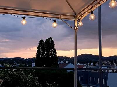 Mietwohnung in 1190 Wien (Bild 1)