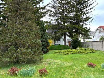Haus mit Garten kaufen in 2700 Wiener Neustadt (Bild 1)