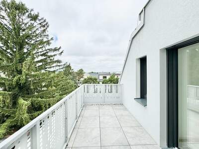 Apartment provisionsfrei mieten in 1230 Wien
