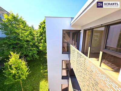 Terrassenwohnung kaufen in 1230 Wien (Bild 4)