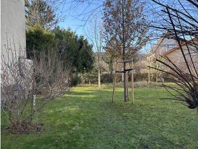 Terrassenwohnung kaufen in 2340 Mödling (Bild 1)