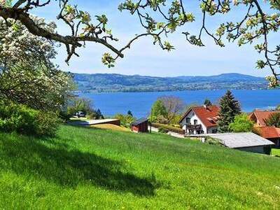 Grundstück kaufen in 4852 Weyregg (Bild 1)