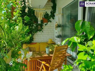 Terrassenwohnung kaufen in 1230 Wien (Bild 1)