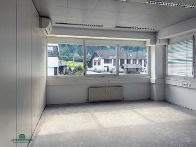 Gewerbeobjekt mieten in 5300 Hallwang