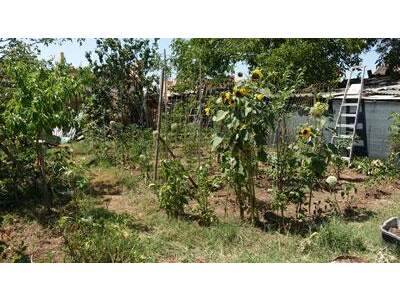 Grundstück kaufen in 2231 Strasshof (Bild 2)