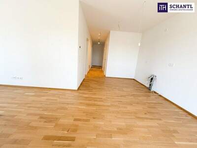 Terrassenwohnung kaufen in 8401 Kalsdorf (Bild 4)
