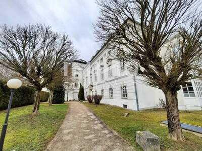 Gewerbeobjekt mieten in 4600 Wels