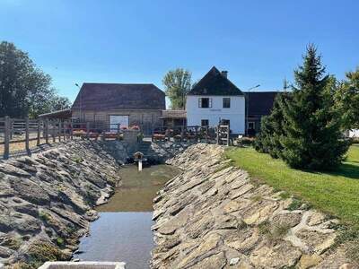 Haus kaufen in 3710 Ziersdorf