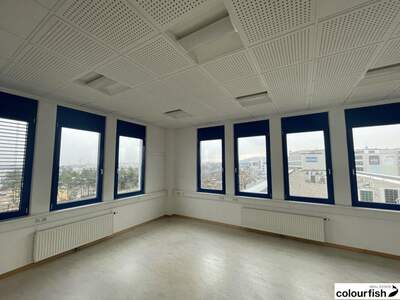 Gewerbeobjekt mieten in 1230 Wien (Bild 2)