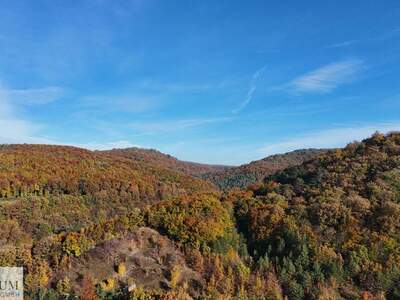 Grundstück kaufen in 2534 Alland (Bild 3)