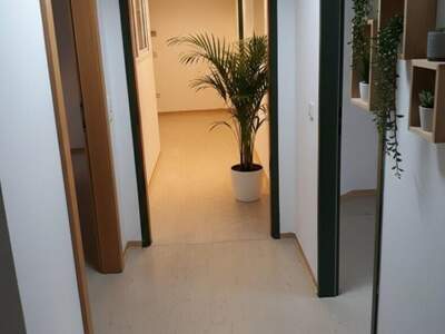 Gewerbeobjekt in 4560 Kirchdorf (Bild 2)