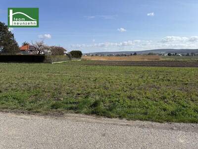 Mehrfamilienhaus kaufen in 2111 Tresdorf (Bild 5)