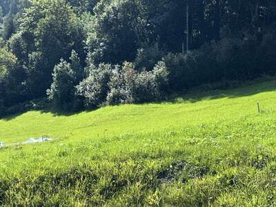 Grundstück kaufen in 5660 Taxenbach